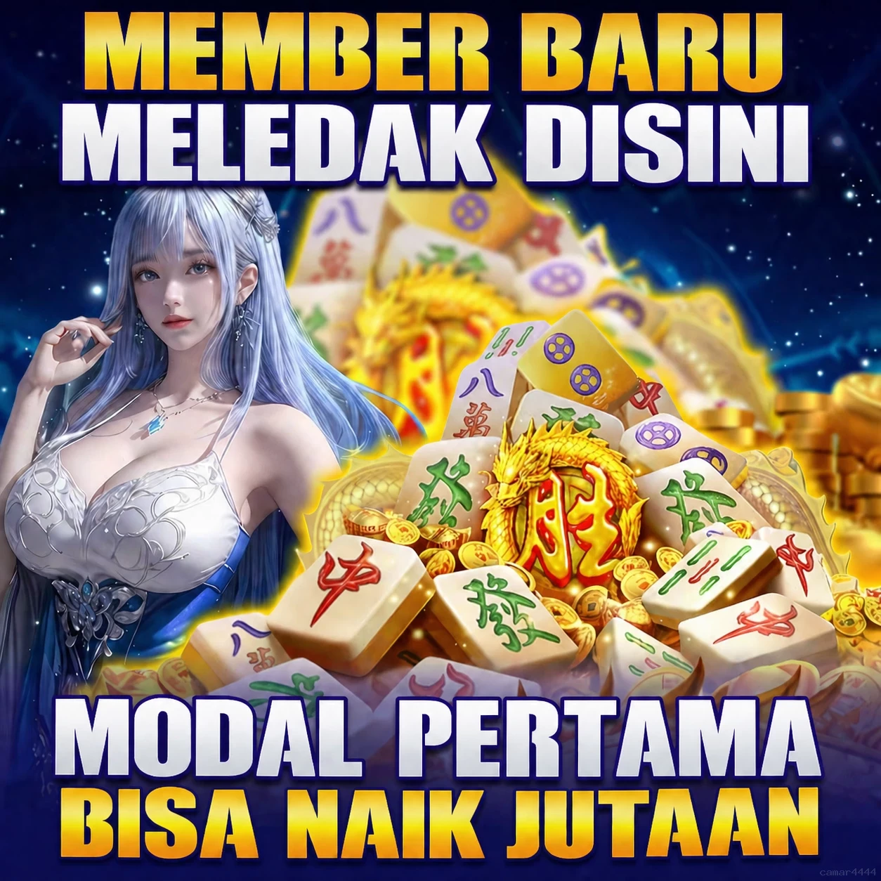 camar4444